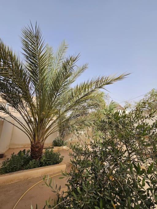 Hadhri Appartement Τοζέρ Εξωτερικό φωτογραφία